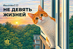 Не девять жизней